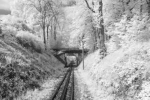 Writing, Photography, and Life